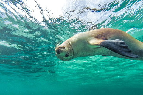 10-Day Adelaide To Perth Adventure Tour - Accommodation Adelaide 1
