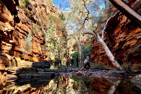 10-Day Adelaide To Perth Adventure Tour - Accommodation Adelaide 5