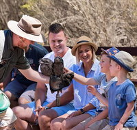 2 day Ultimate Kangaroo Island with return ferry - Accommodation Adelaide