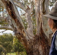 NEW TOUR - Kangaroo Island Road to Recovery Tour 1 Day/1 Night - Accommodation Adelaide