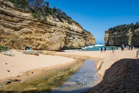 Great Ocean Road Reverse Itinerary With 12 Apostles From Melbourne - Accommodation Adelaide 2