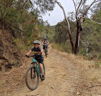 Mount Lofty Descent Bike Tour from Adelaide - Accommodation Adelaide