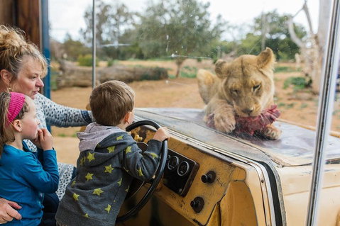 Werribee Open Range Zoo General Admission Ticket - Accommodation Adelaide 4