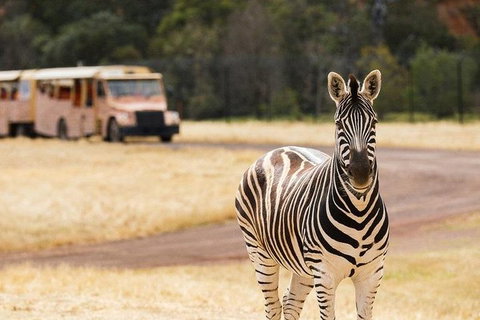 Werribee Open Range Zoo General Admission Ticket - Accommodation Adelaide 5