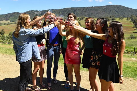 Hunter Valley Wine Tour From Sydney Incl Lunch, Cheese, Chocolate And Distillery - Accommodation Adelaide 3