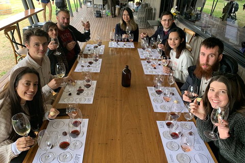 Hunter Valley Wine Tour From Sydney Incl Lunch, Cheese, Chocolate And Distillery - Accommodation Adelaide 4