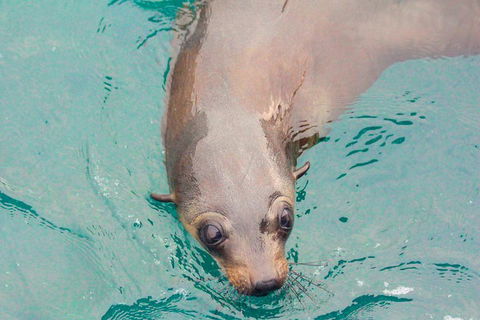 Wilsons Promontory Full Day Cruise - Accommodation Adelaide 0