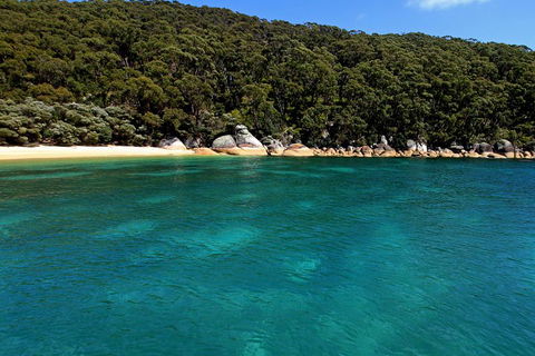 Wilsons Promontory Full Day Cruise - Accommodation Adelaide 4