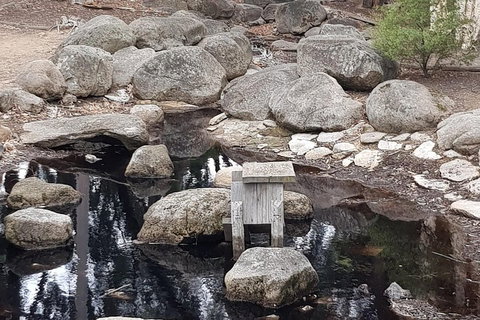 Bendigo, Echuca & The Mighty Murray - Accommodation Adelaide 1