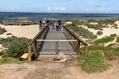 Kangaroo Island 4WD Tour - Best Of KI - Accommodation Adelaide 2