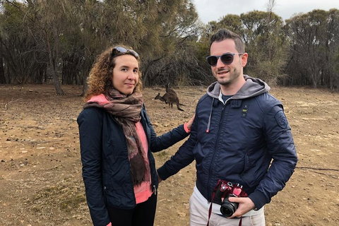 Kangaroo Island 4WD Tour - Best Of KI - Accommodation Adelaide 3